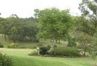 Hurstbridgeresidential-landscaping-40.jpg; ?>